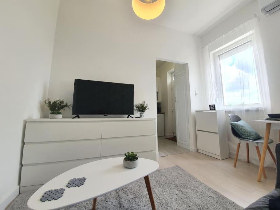 Master Apartment With Air Condition And Separated Rooftop Terrace Budapest Exterior photo